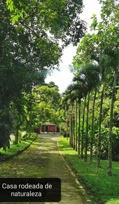 Casa Con Piscina Privada A 4 Min Del Irtra Reu Villa Ajaxa Exterior foto